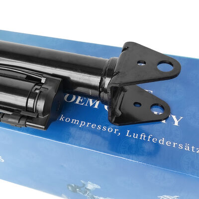 パネウマティックショック吸収器の空気懸垂管理システム Ben-Z W251/R300