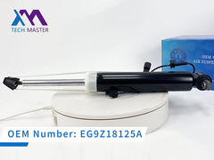 技術マスター リンカーン MKT 後部左側のショック吸収器 ADS DE9Z18125J, DE9Z18125B, DE9Z18125G