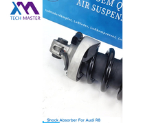 アウディR8用のTMAIRSUSショック吸収器