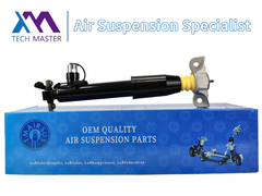 技術マスター リンカーン MKX F2GZ18125Zの 後部左ショック吸収器ストラット