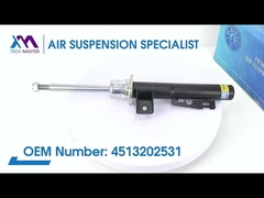 技術マスター TMAIRSUS W451 4513202531のためのフロントコイルスプリングショック